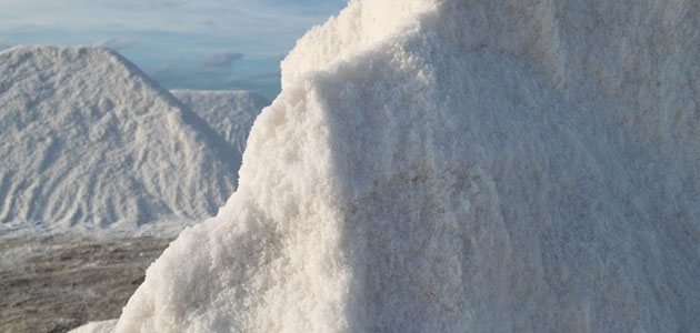 Salt Ore Exploration Sites, Eastern Province