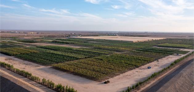 Agricultural nursery